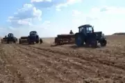 Посевная кампания стартовала в Елизовском районе